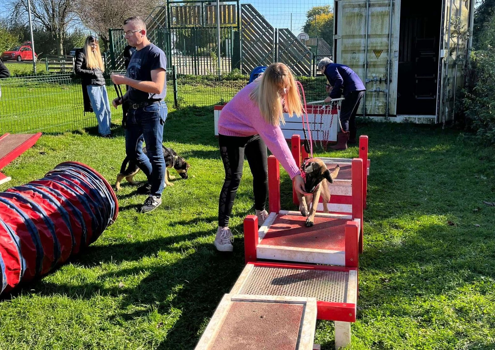 Ecole Chiot Choix Site