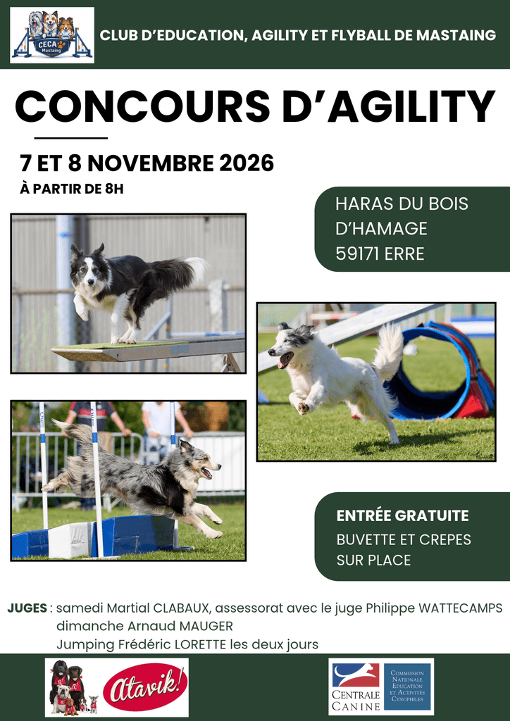 Affiche concours Agility nov