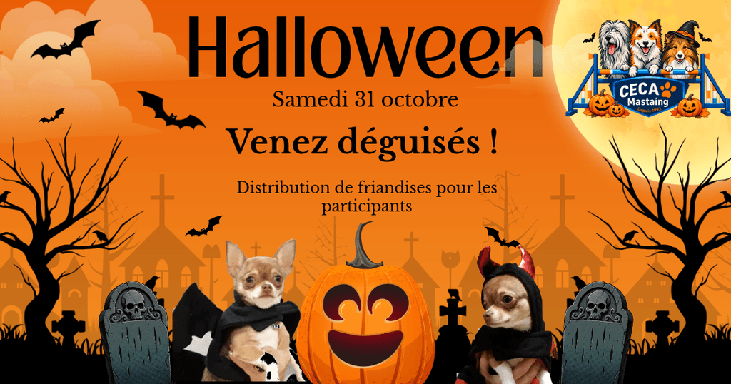 CECAM Halloween