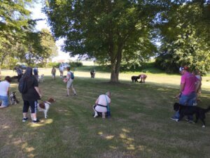 IMG 20250621