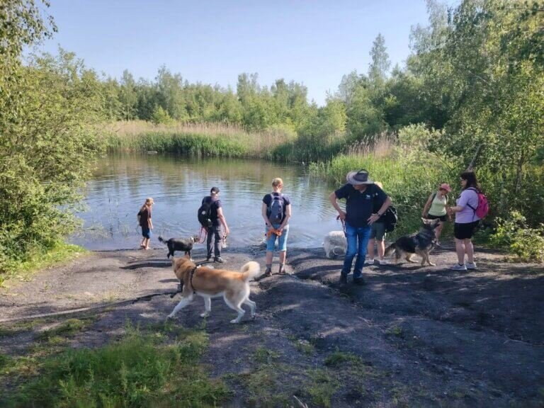 Petite pause baignade pendant une balade estivale, toujours sous surveillance.